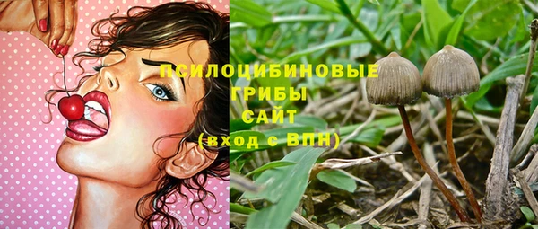 стафф Алексин