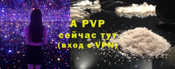 стафф Алексин