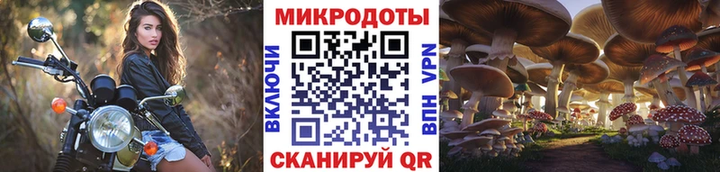 Псилоцибиновые грибы Psilocybine cubensis Шумиха